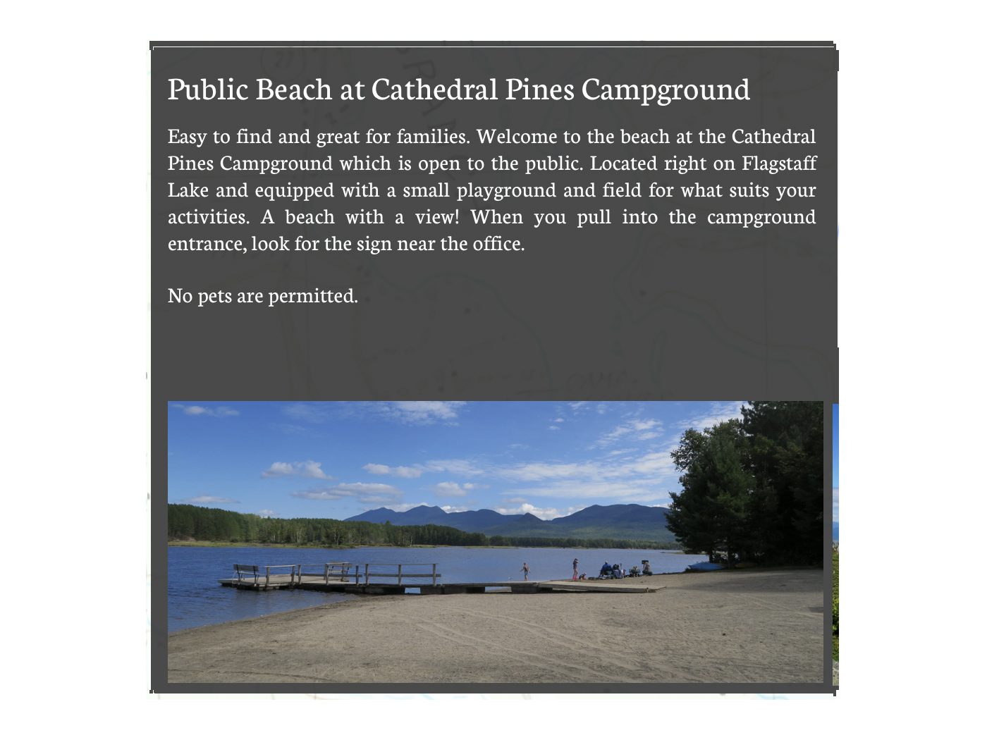 Cathedral Pines